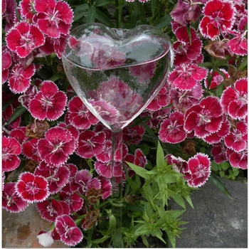 Sticla Flori De Plante De Apă Alimentator Auto Udare Pasăre De Design De Plante Waterer Automată Dispozitivul De Udare Pahar De Alimentare Cu Apă